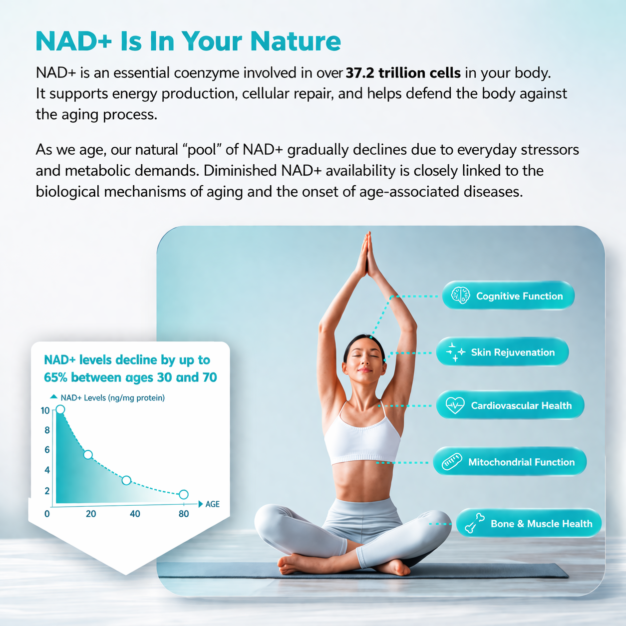 NAD+
