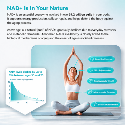 NAD+